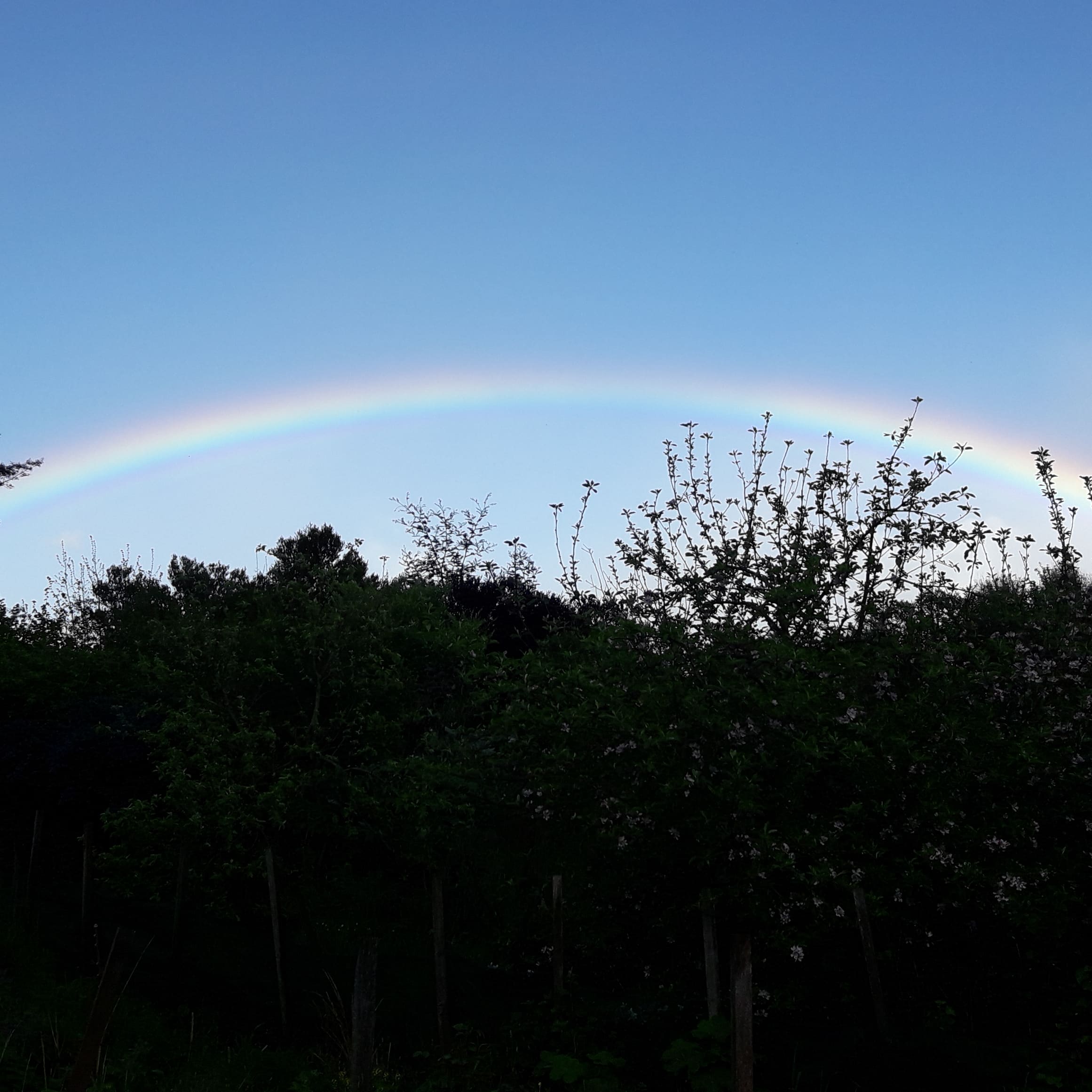 IMG_20211018_085307_301